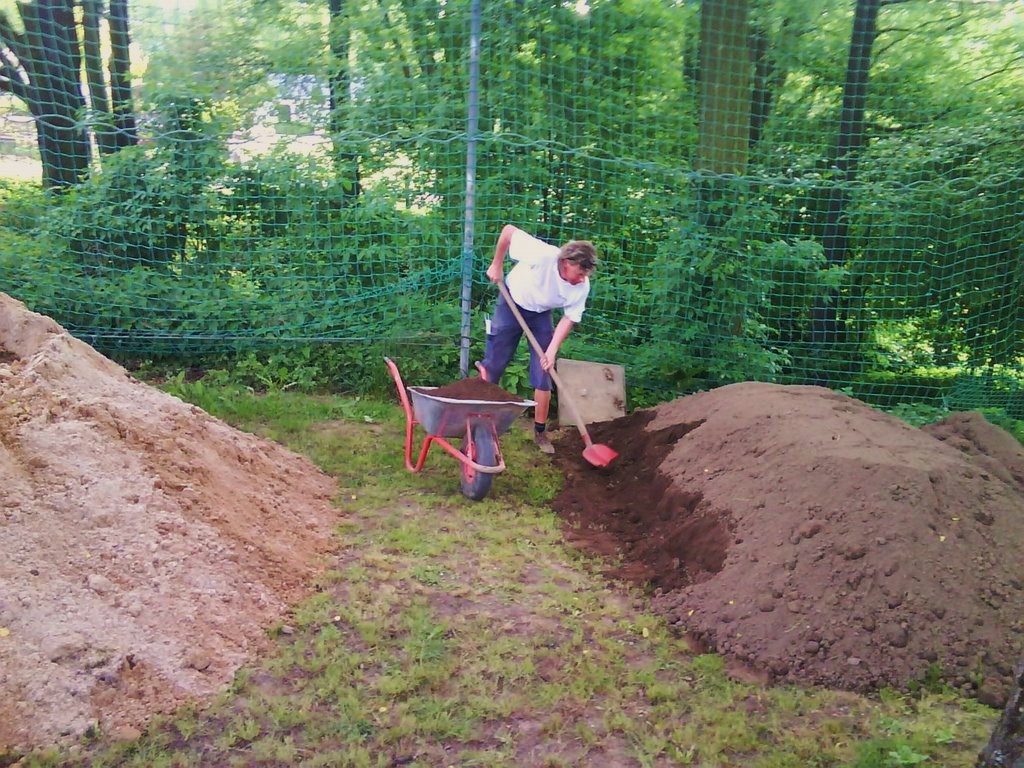Bau_Volleyball (10)